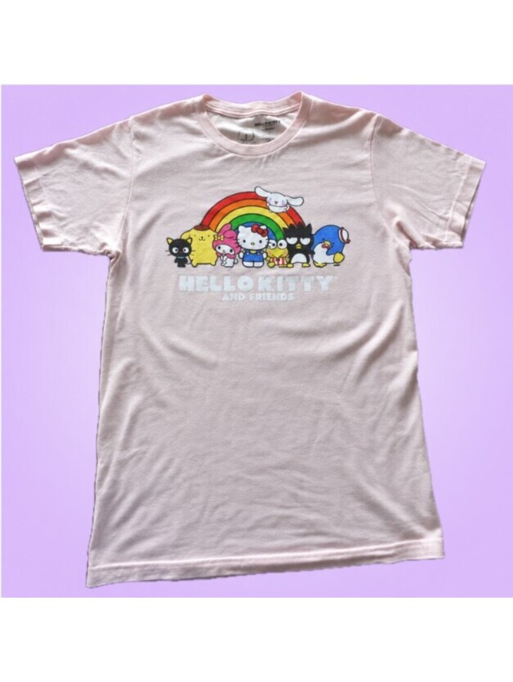 New Sanrio Hello Kitty Pink Graphic T-Shirt Rainbow Top | Mens Small